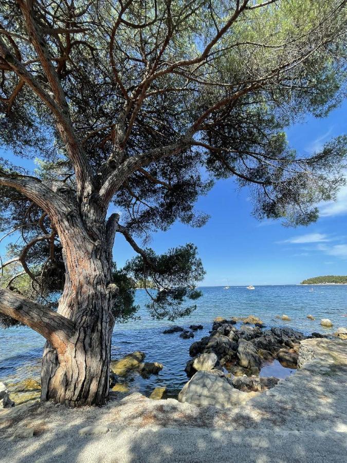 Clorinda Sea View Free Parking Rovinj Exterior foto